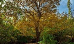 العراقيون يودّعون موجات  الحر اللاهب